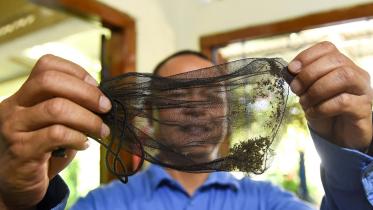 dengue-philippines-afp-wb.jpg