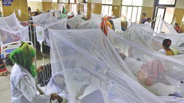 dengue.jpg