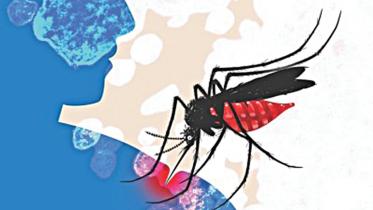 dengue_mosquito_0.jpg