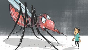 Dengue Outbreak.jpg