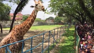 Dhaka zoo.jpg