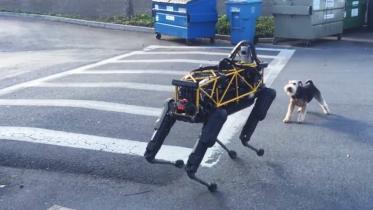 robodog, Spot, Boston Dynamics, Google