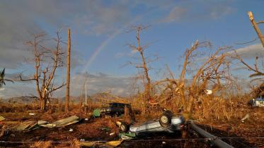 Devastation by Typhoon Yolanda