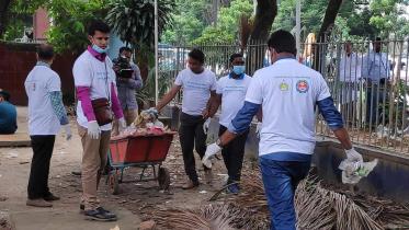 dscc-cleaning-collected.jpg