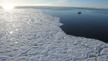 2017 is on track to be the hottest year on record except for two warmed by El Nino phenomena, the UN's World Meteorological Organization says.
