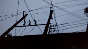 Electrocuted-web.jpg