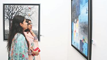 exhibition