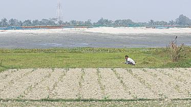 farmer working