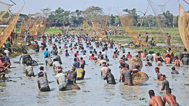 Fish catching1.jpg