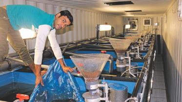fish farm.jpg