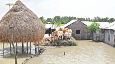 flood.jpg