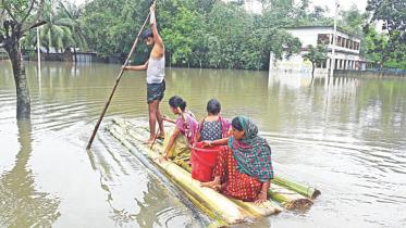 Flood