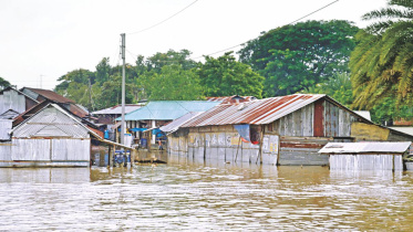 flood 1.jpg