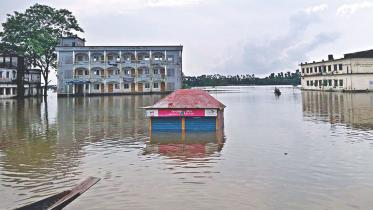 flood 1.jpg