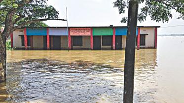flood 1.jpg