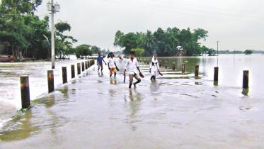 flood 1.jpg
