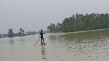 flood.jpg