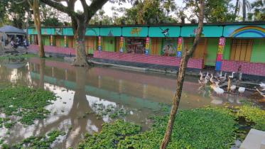 flood.jpg