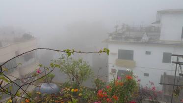 Fog-1WB.jpg
