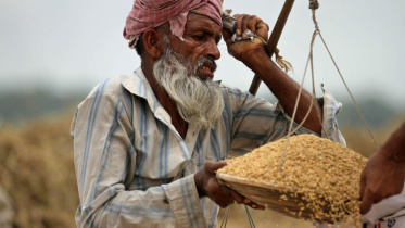 foodgrain-23.jpg