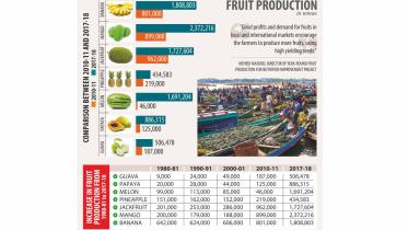 fruit chart.jpg