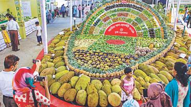 Fruits1.jpg