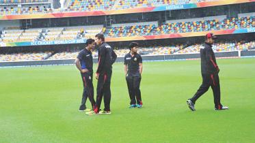gabba wet field.jpg