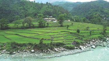 Garhwal forest.jpg
