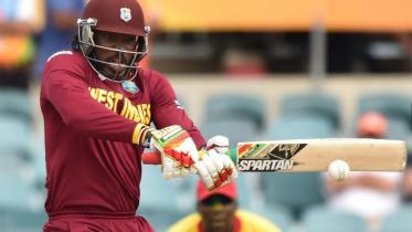 Chris Gayle smashes a boundary against Zimbabwe