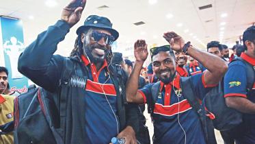 gayle.jpg