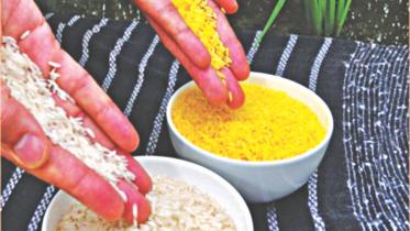 golden rice.jpg
