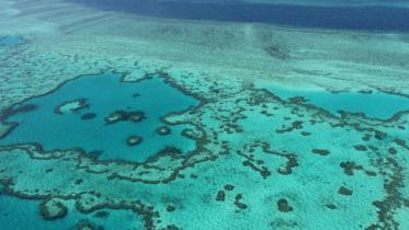 Great-Reef.jpg