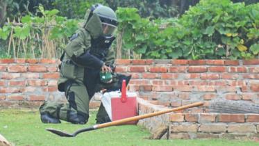 grenades, bomb