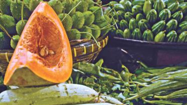 Grocery Bag