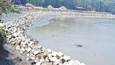 Seven of 21 gorges where broodfish lay eggs partially filled up with sandbags