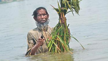 haor-flash-flood