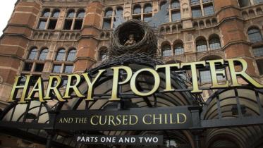 harry-web.jpg