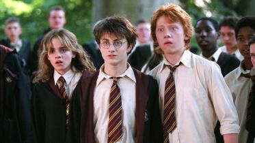 harry.jpg