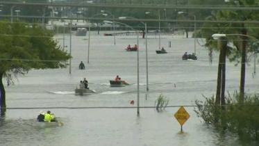 Harvey-2WB.jpg