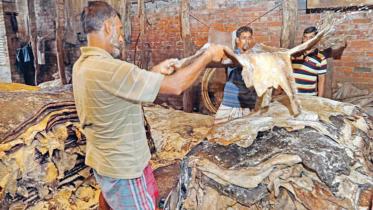 Hazaribagh tanners, compensation for environmental damage, HC