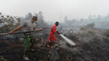 Haze-Indonesia--1WB.jpg