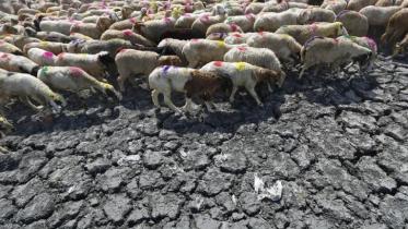 heat wave.jpg