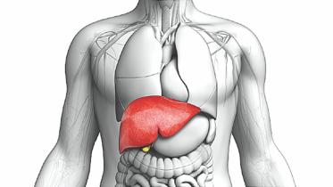 Diet and nutrition for Hepatitis: Foods to eat and avoid when you have a liver problem