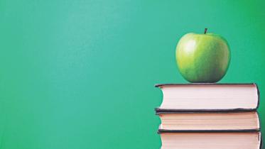 higher education