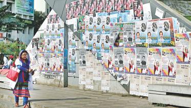 illegal posters.jpg