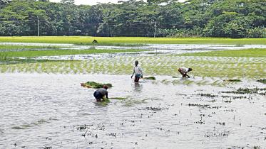 Incessant-rains-and-floods.jpg