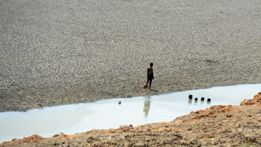 india-climate-afp-wb.jpg