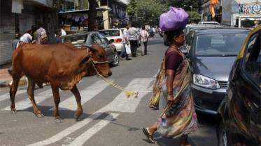 India beef.jpg