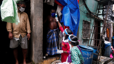 india web.jpg
