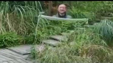 Invisible Cloak.jpg